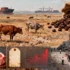 Supply Chain Pressures Drive Beef Prices Higher As Economic Concerns Mount