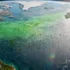 Oceanic Carbon Sink Weakening as Marine Ecosystems Face Unprecedented Stress