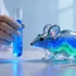 Scientific Debate Intensifies Over Animal Testing Alternatives in Biomedical Research