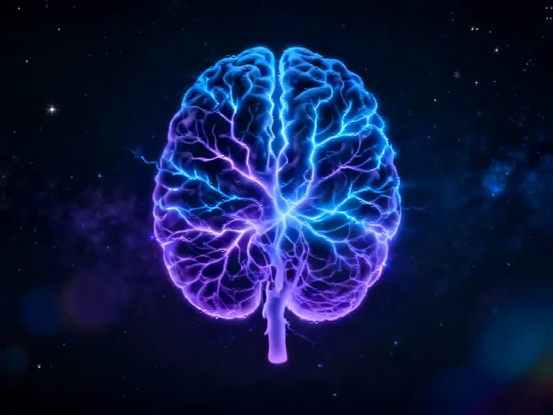 Brain Complexity Measurement Through EEG Analysis Reveals Neural Network Patterns - Professional coverage