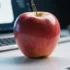 Omada AI Launches Autonomous Marketing Platform for Small Bu - AI-Powered Marketing Solution for Small Businesses A new Seatt