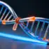 Hidden DNA Mechanism Prevents Species Extinction Through Gen - Genetic Mystery Solved After Two Decades An international rese