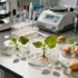 Potato NLRome Discovery Opens New Era for Disease-Resistant Crops