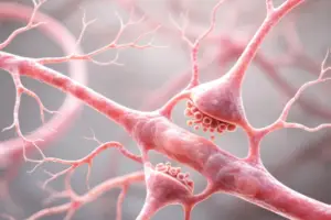 Rewiring the Brain: Scientists Reprogram Neural Circuits in - According to science