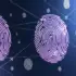 Temporal Fingerprints Revolutionize Cross-Platform Identity Detection